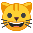 Android Pie; U+1F431; Emoji