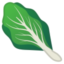 Android Pie; U+1F96C; Emoji