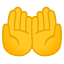 Google (Android 11); Paumes Vers Le Haut