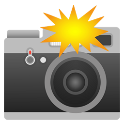 📸 Camera With Flash Emoji