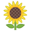Android Oreo; U+1F33B; Emoji