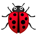 Android Oreo; U+1F41E; Emoji