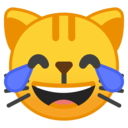Android Oreo; U+1F639; Emoji