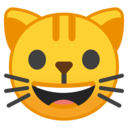 Android Oreo; U+1F63A; Emoji