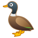 Android Oreo; U+1F986; Emoji