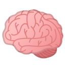 Android Oreo; U+1F9E0; Cerveau Emoji