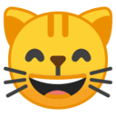 Android Pie; U+1F638; Emoji