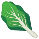 Android Pie; U+1F96C; Emoji