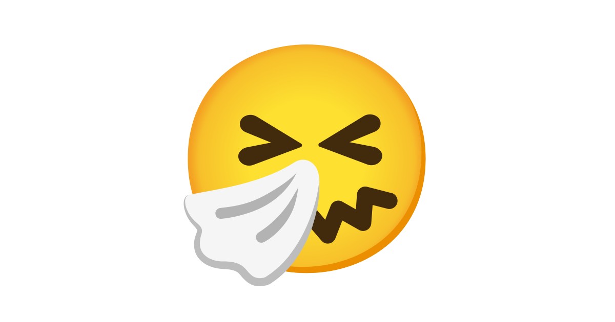🤧 Cara Estornudando Emoji