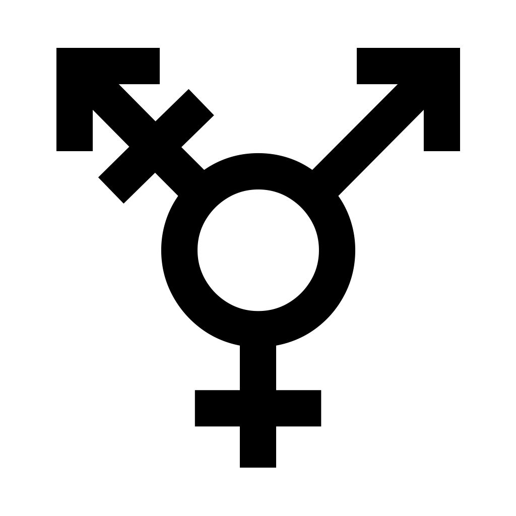 ⚧️ Transgender Symbol Emoji