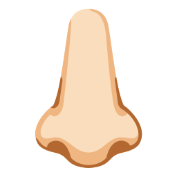 Google (Noto Color Emoji 17.0)