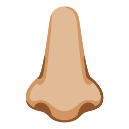 Google (Noto Color Emoji 17.0)