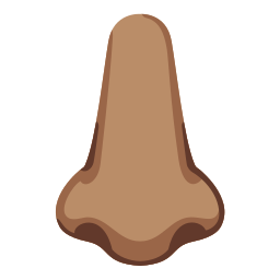 Google (Noto Color Emoji 17.0)
