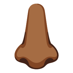 Google (Noto Color Emoji 17.0)