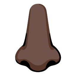 Google (Noto Color Emoji 17.0)