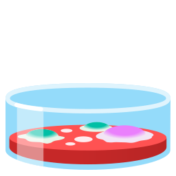 Google (Noto Color Emoji 17.0)