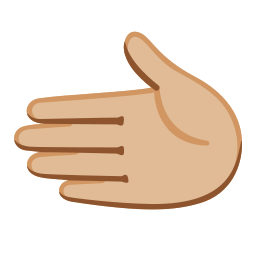 Google (Noto Color Emoji 17.0)