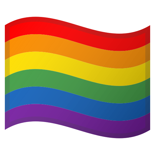 non gay flag emoji instagram