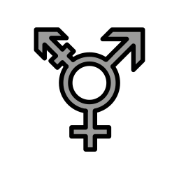 ⚧️ Transgender Symbol Emoji