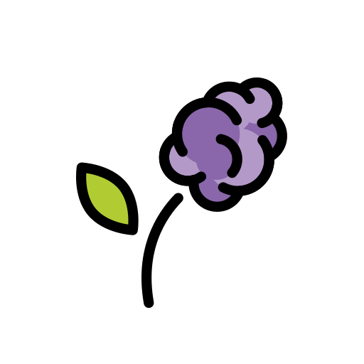 🪻 Hyacinth Emoji: Meaning & Usage