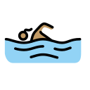 OpenMoji 16.0