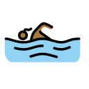 OpenMoji 16.0