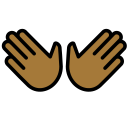 OpenMoji 16.0