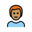 OpenMoji 16.0