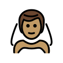 OpenMoji 16.0