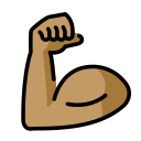 OpenMoji 16.0