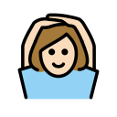 OpenMoji 16.0