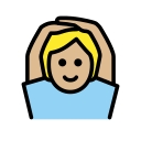 OpenMoji 16.0