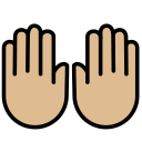 OpenMoji 16.0