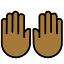 OpenMoji 16.0