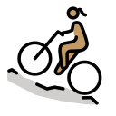 OpenMoji 16.0