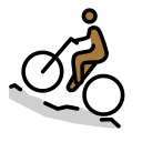 OpenMoji 16.0