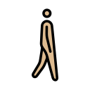 OpenMoji 16.0