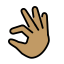 OpenMoji 16.0