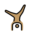 OpenMoji 16.0