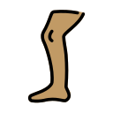 OpenMoji 16.0