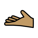 OpenMoji 16.0