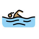 OpenMoji 17.0