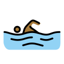 OpenMoji 17.0
