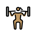 OpenMoji 17.0