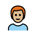 OpenMoji 17.0