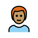 OpenMoji 17.0