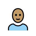OpenMoji 17.0