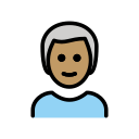 OpenMoji 17.0