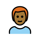 OpenMoji 17.0