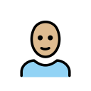 OpenMoji 17.0